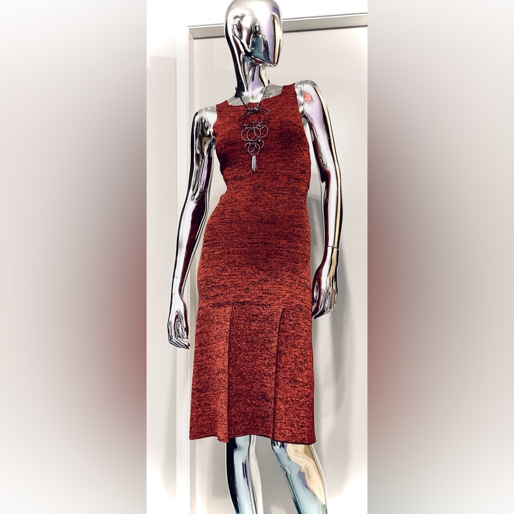 ☀️Spring Sale: Proenza Schouler (cinnamon) Dress w/cross-back opening
